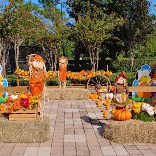 A Pumpkin Patch display in a park.