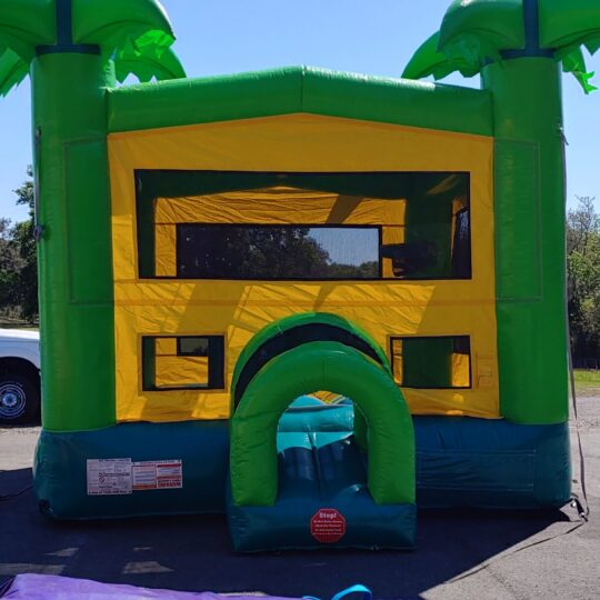 Palm Tree Bounce House