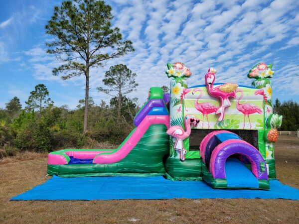 Flamingo Bounce House and Slide