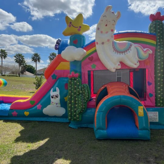 Llama Bounce House and Slide Combo - Party Rental - Inflatable - Orlando