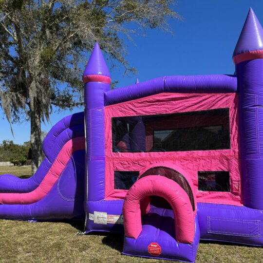 Pink Princess Double Slide