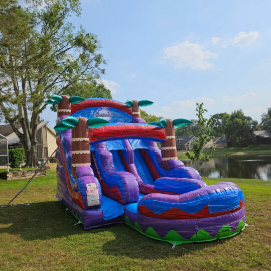 Purple Plunge Waterslide