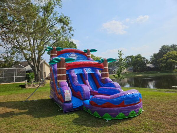 Purple Plunge Waterslide
